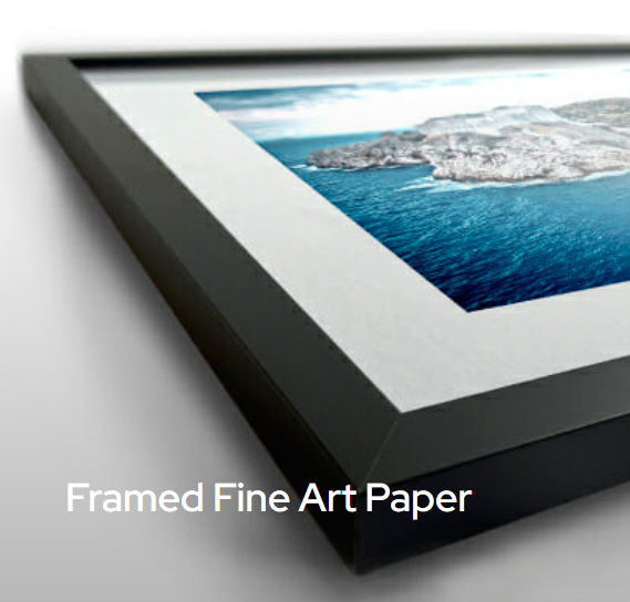 Framed Fine Art Paper